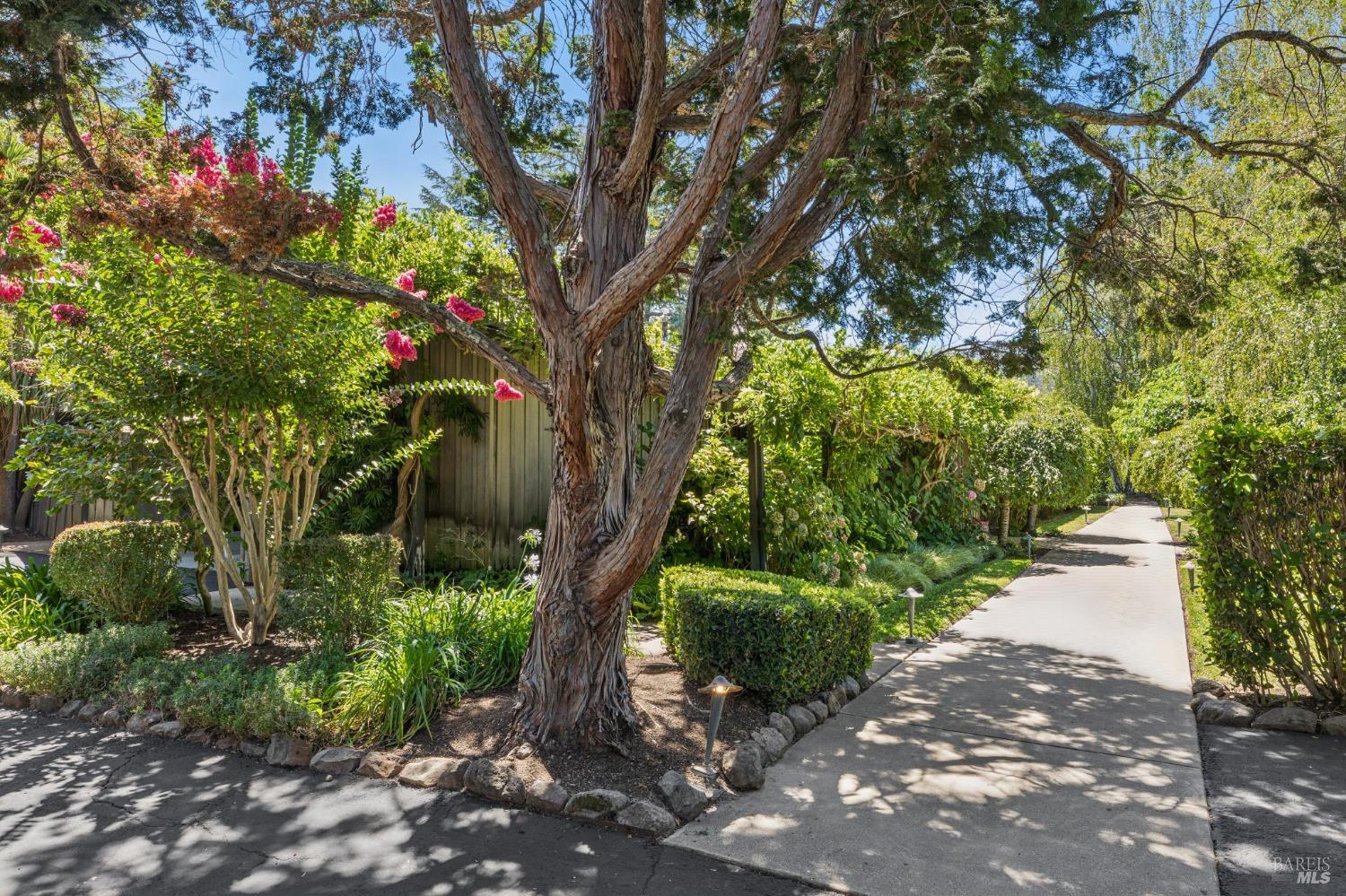 1819 Zinfandel Lane St. Helena CA 94574