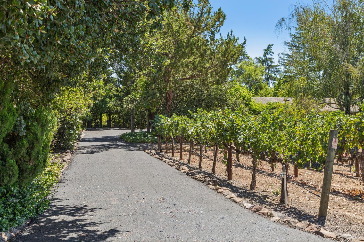 1819 Zinfandel Lane St. Helena CA 94574