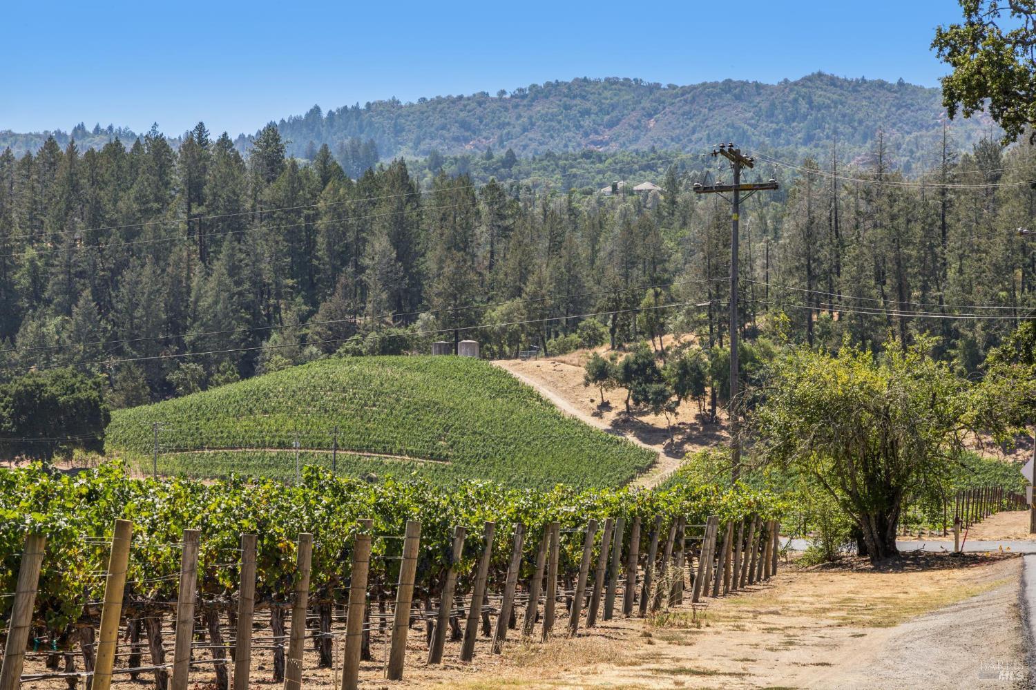 1819 Zinfandel Lane St. Helena CA 94574
