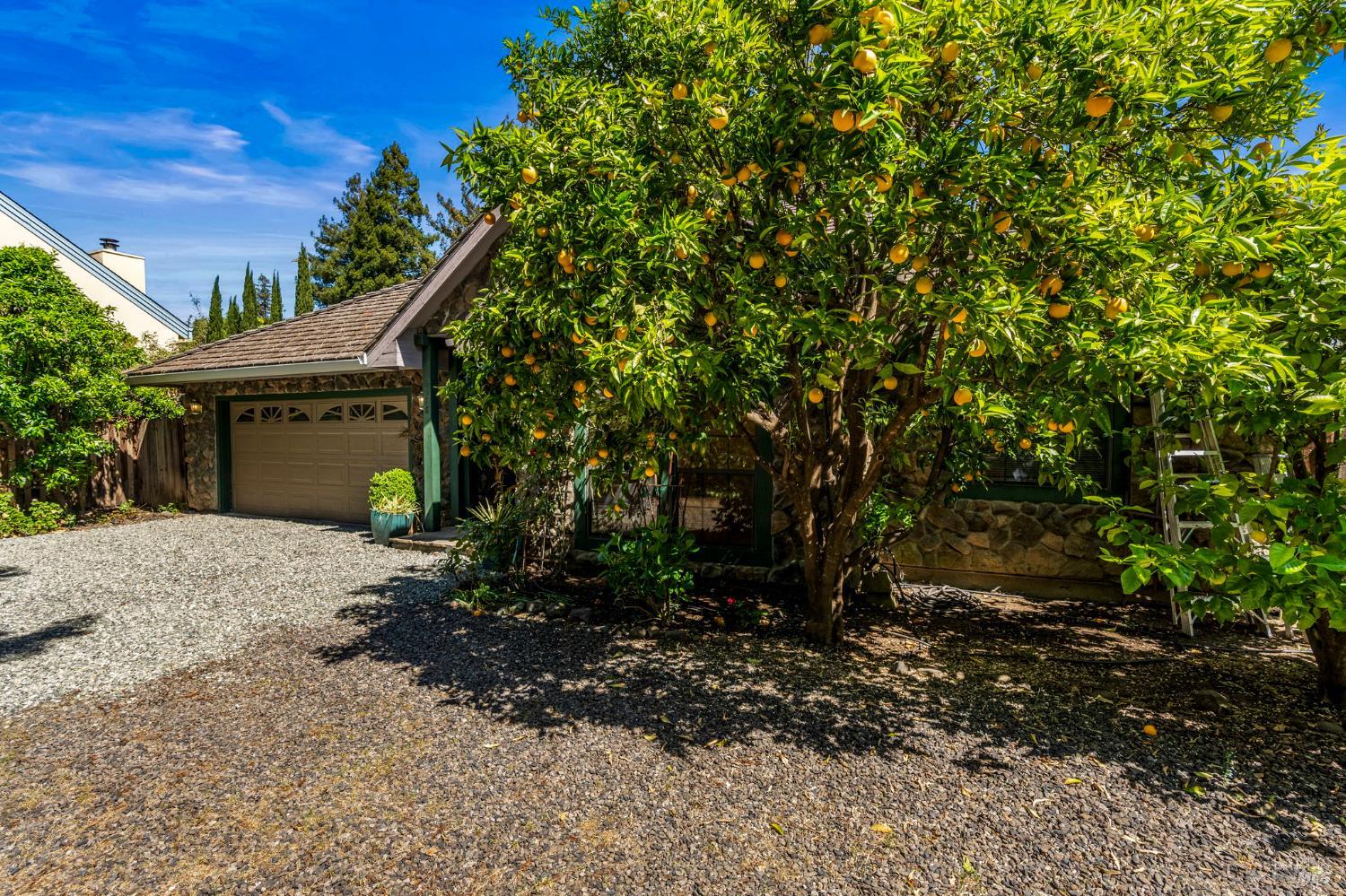 6578 Oak Leaf Court Yountville CA 94599