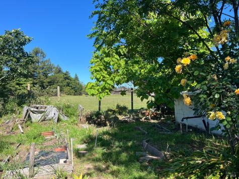 20 Eucalyptus Road Petaluma CA 94952