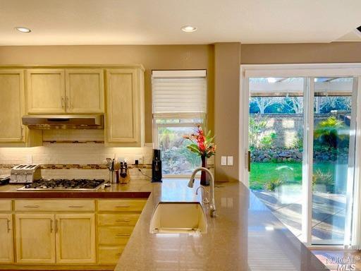 41 Presidio Drive Novato CA 94949