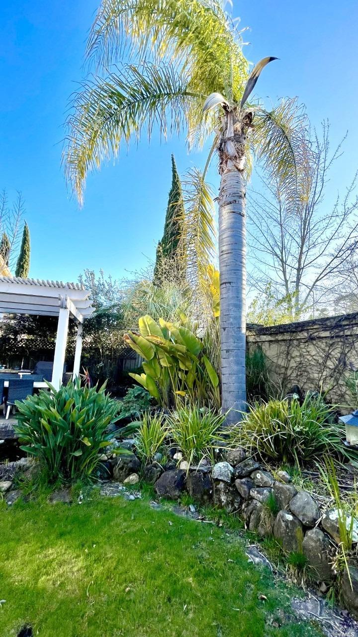 41 Presidio Drive Novato CA 94949
