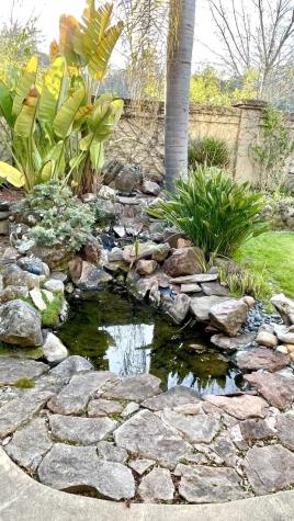41 Presidio Drive Novato CA 94949