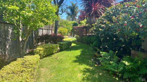 Mill Valley CA 94941