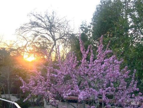 Mill Valley CA 94941