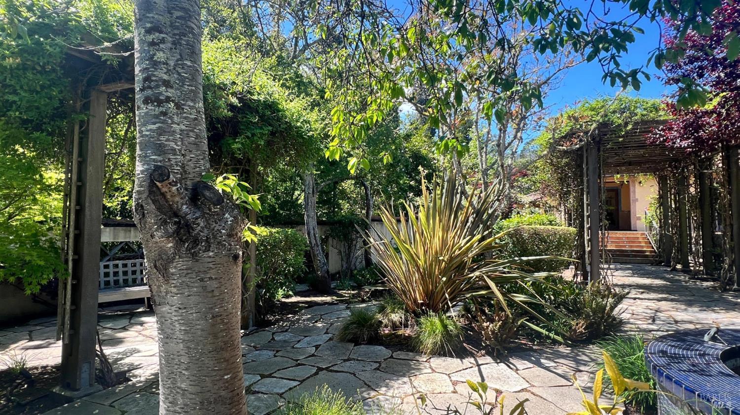 Mill Valley CA 94941
