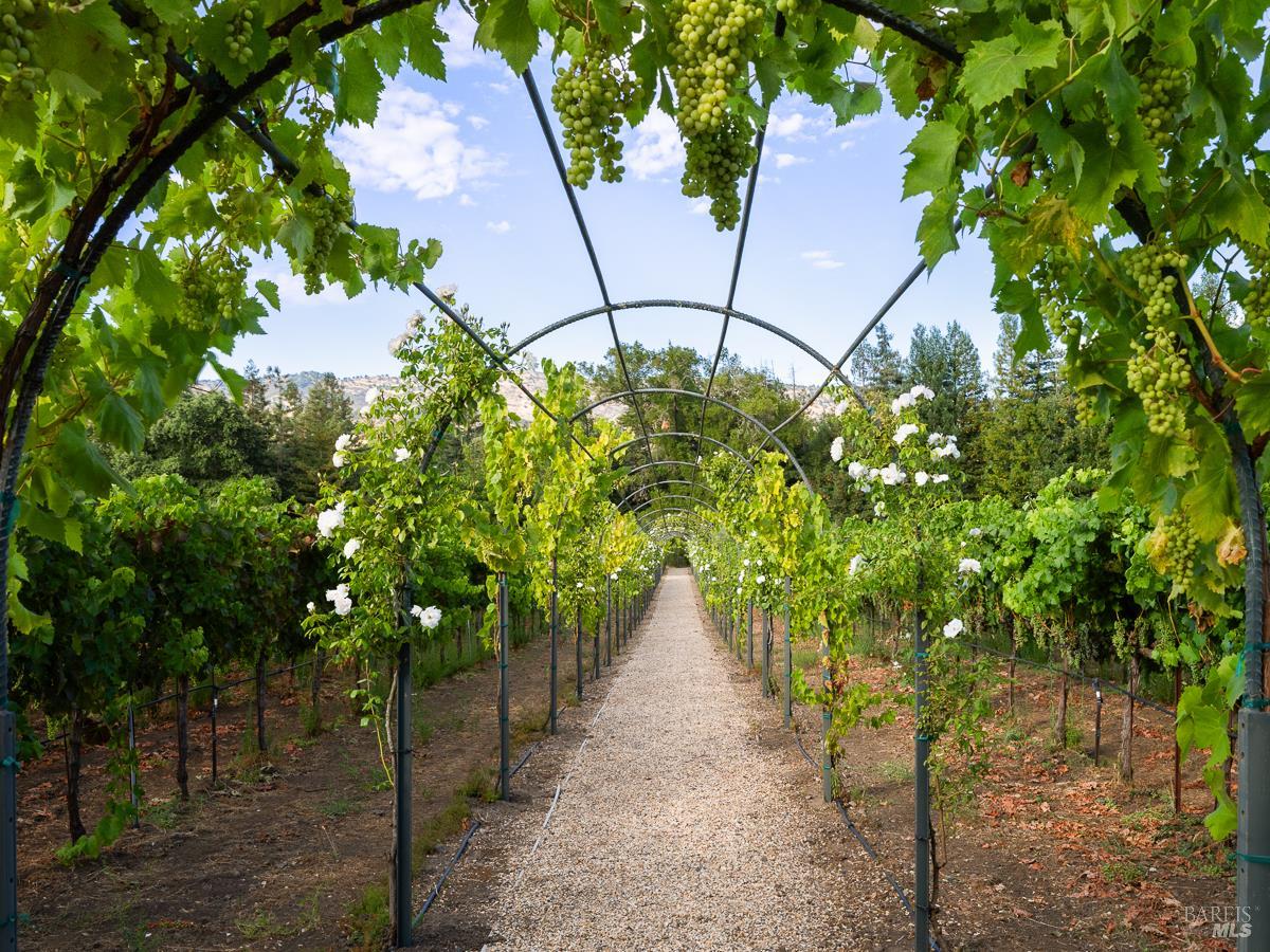5100 Big Ranch Road Napa CA 94558