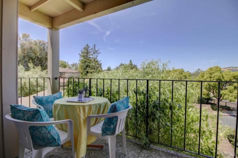 22 Lakeview Court Novato CA 94947