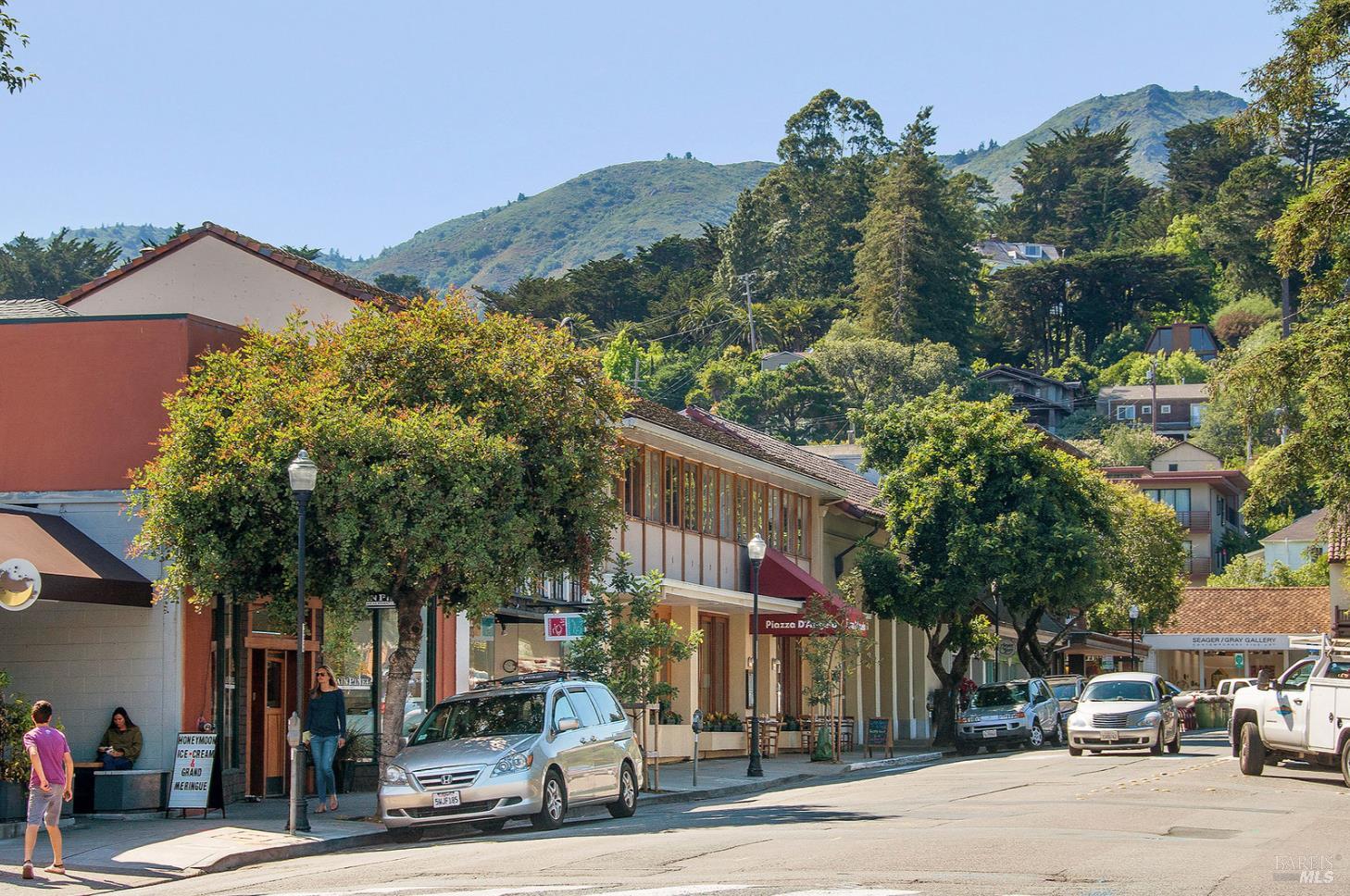 162 Throckmorton Avenue Mill Valley CA 94941
