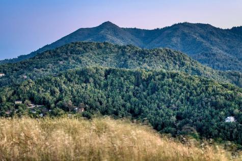 162 Throckmorton Avenue Mill Valley CA 94941
