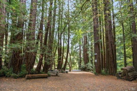 162 Throckmorton Avenue Mill Valley CA 94941