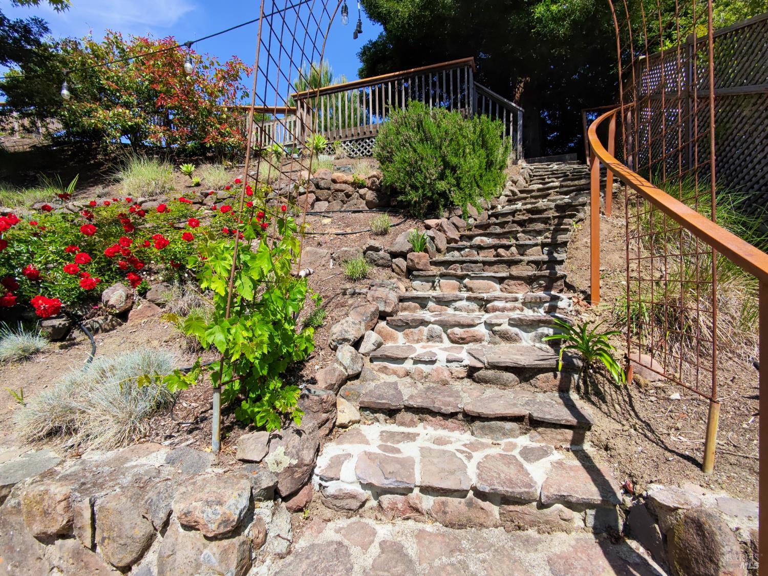 12 Greenfield Court Mill Valley CA 94941