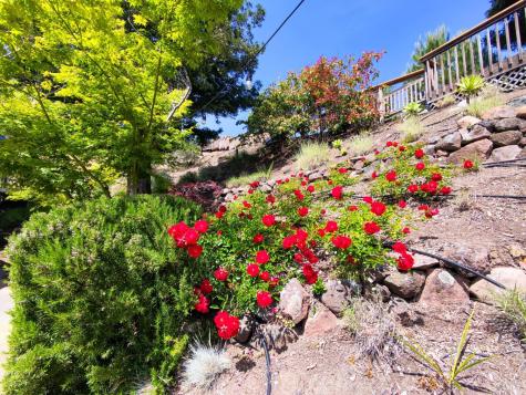 12 Greenfield Court Mill Valley CA 94941