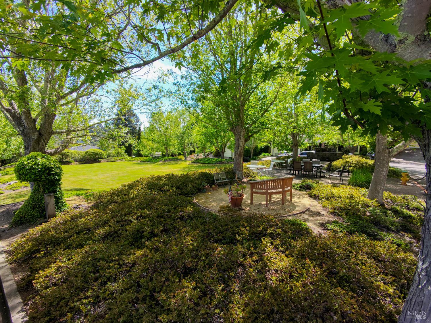 12 Greenfield Court Mill Valley CA 94941