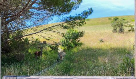 12 Greenfield Court Mill Valley CA 94941