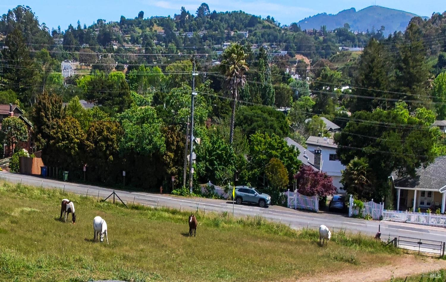 12 Greenfield Court Mill Valley CA 94941