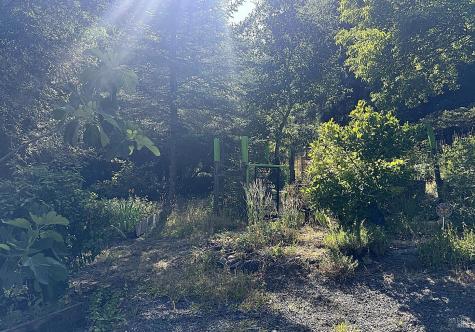 9250 Highway 116 Forestville CA 95436