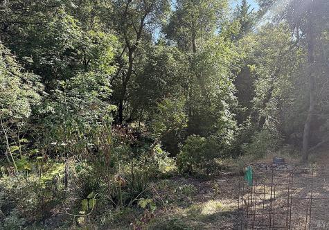 9250 Highway 116 Forestville CA 95436