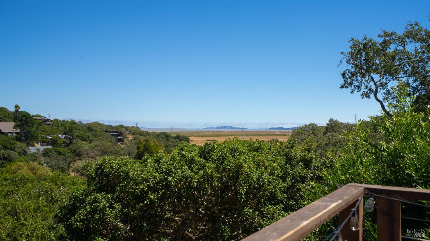311 Grandview Avenue Novato CA 94945