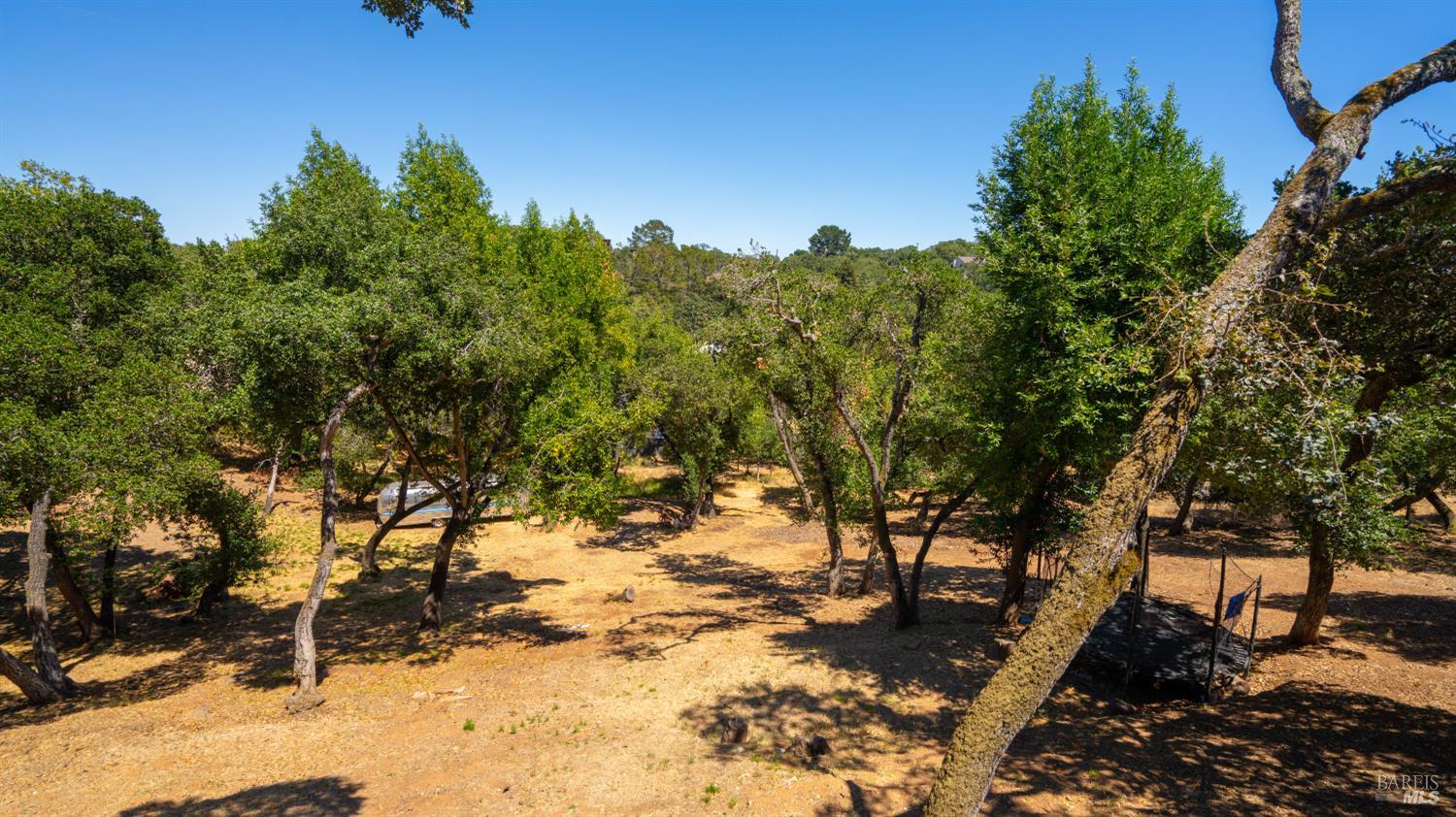 311 Grandview Avenue Novato CA 94945
