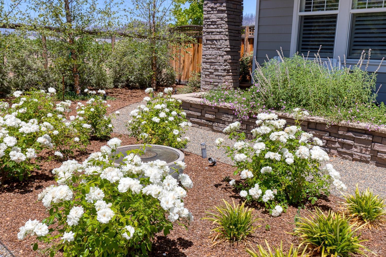 704 Hunt Avenue St. Helena CA 94574