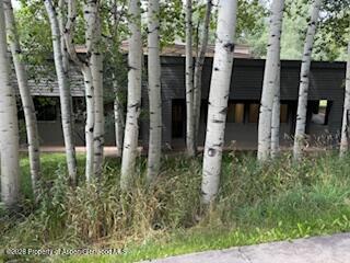 25 Lower Woodbridge Road Snowmass Village CO 81615