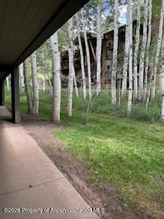 25 Lower Woodbridge Road Snowmass Village CO 81615