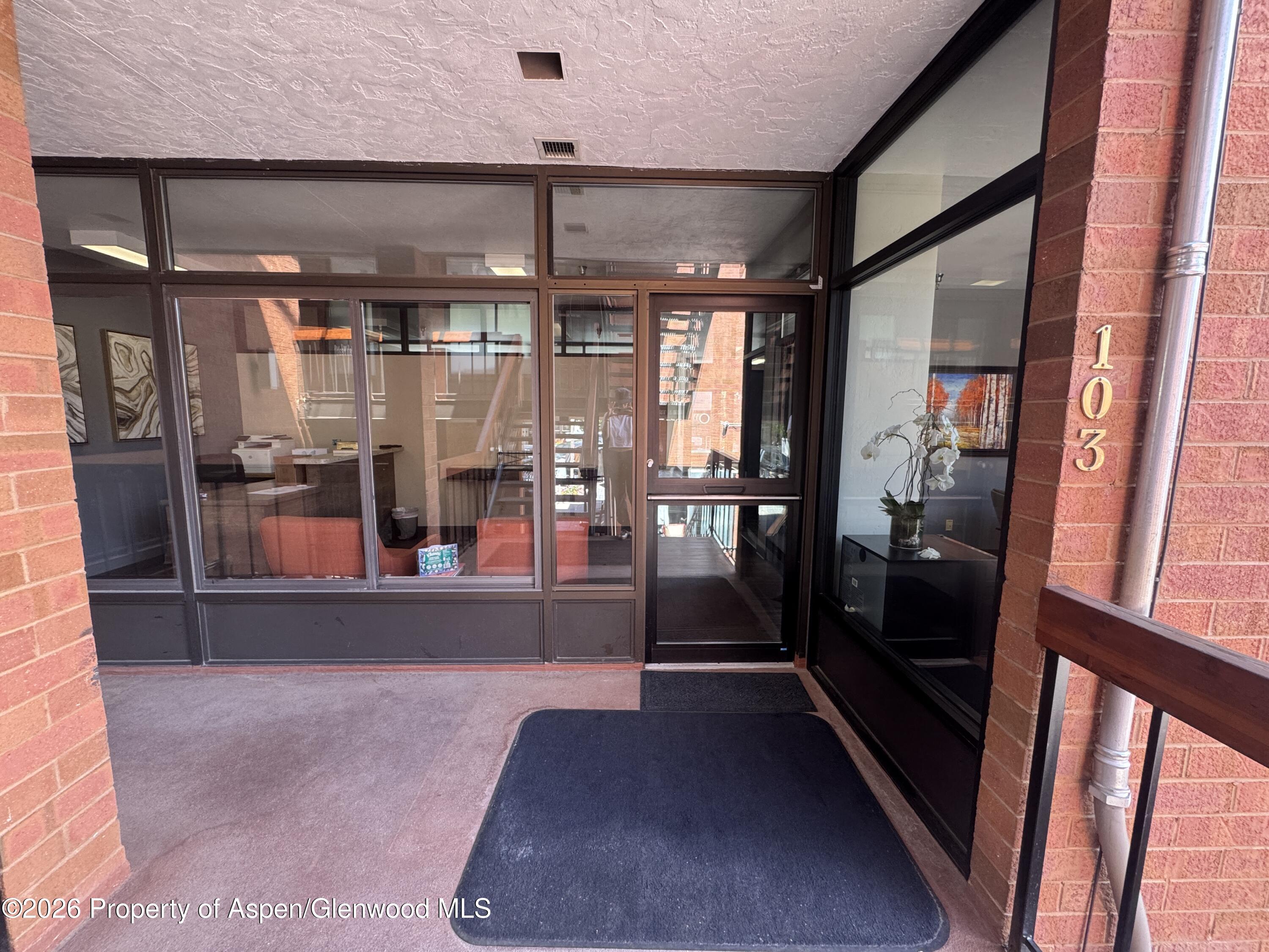 533 E Hopkins Avenue Aspen CO 81611