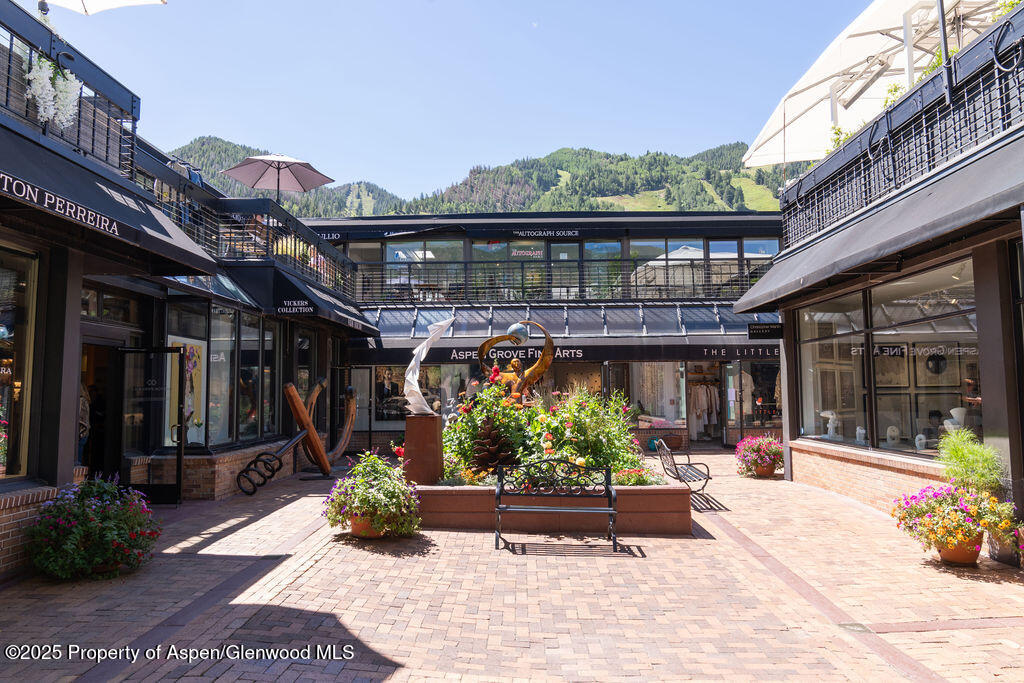 525 E Cooper Avenue Aspen CO 81611