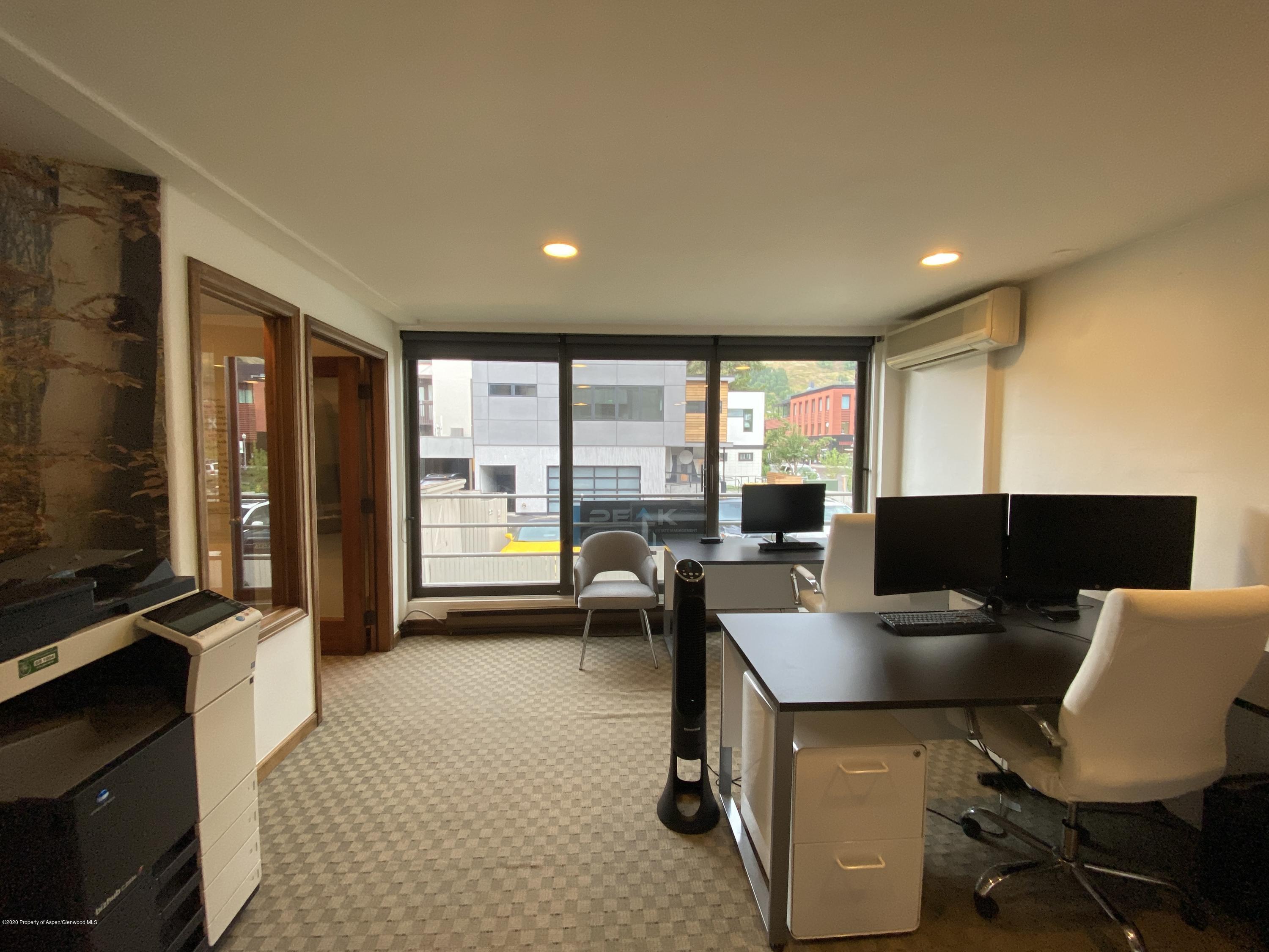 Aspen CO, 601 E Hopkins Avenue, Unit 202