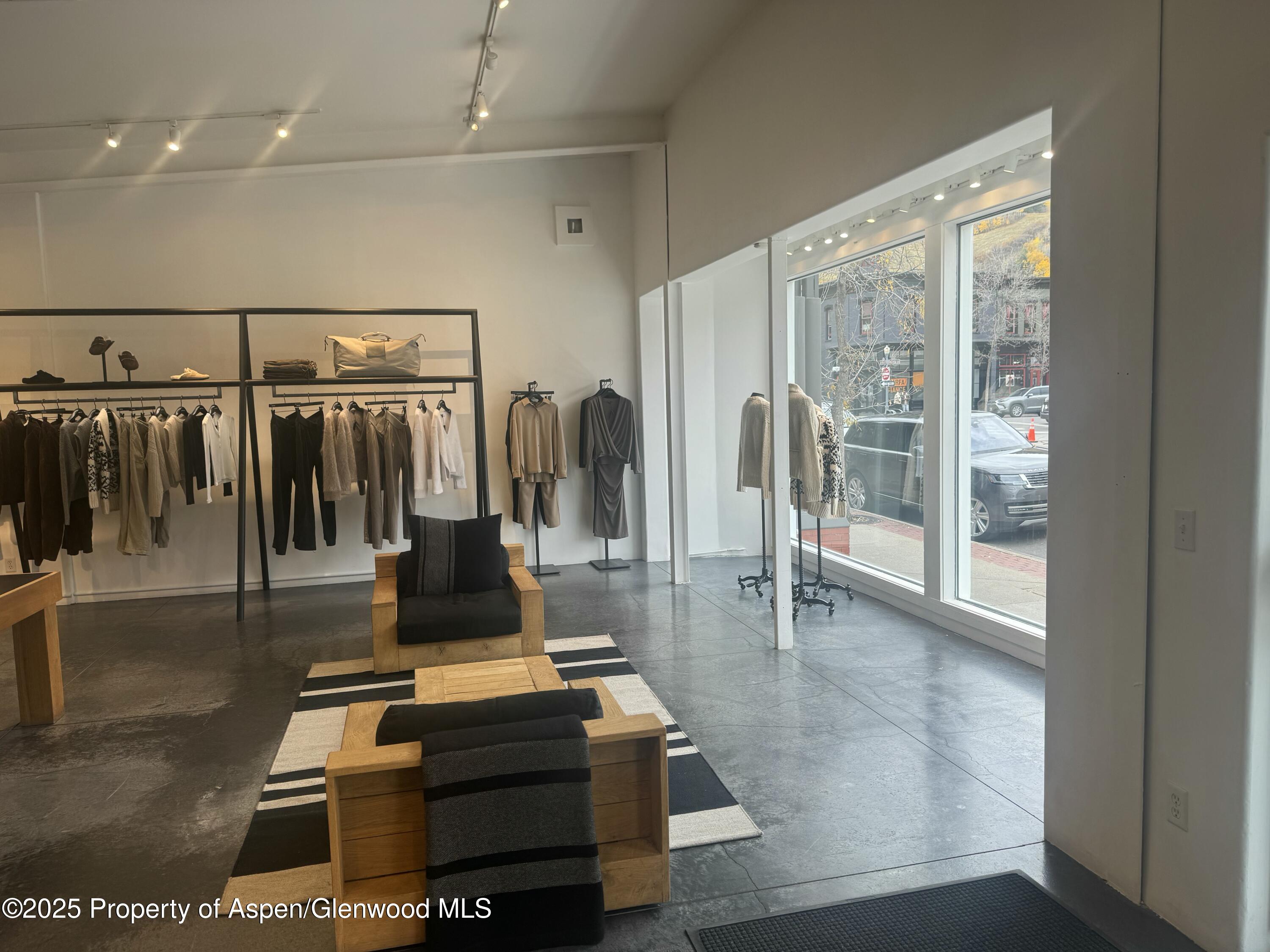 312 S Hunter Street Aspen CO 81611