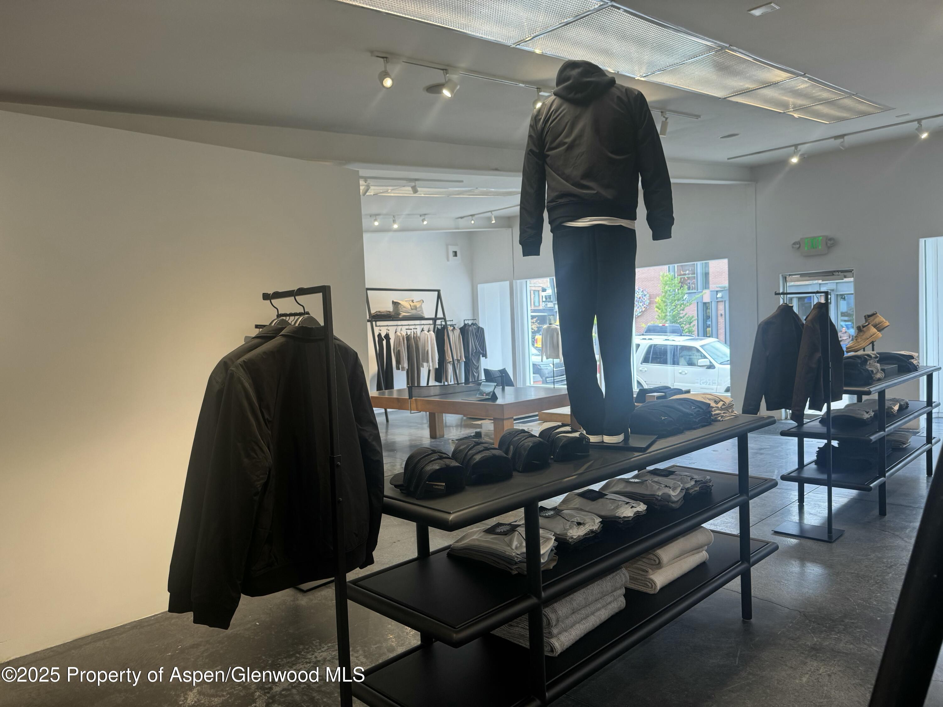 312 S Hunter Street Aspen CO 81611