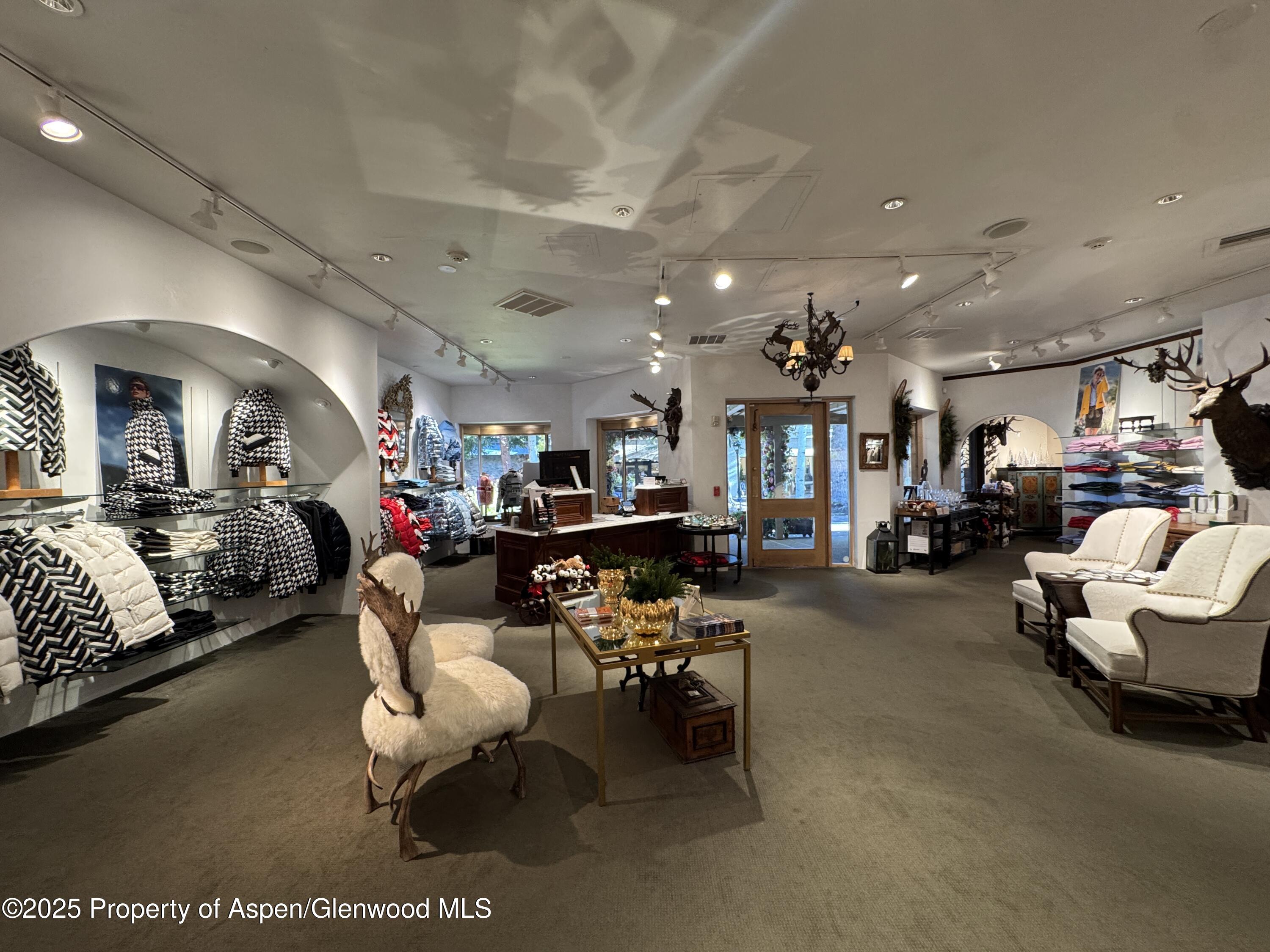 419 E Cooper Avenue Aspen CO 81611