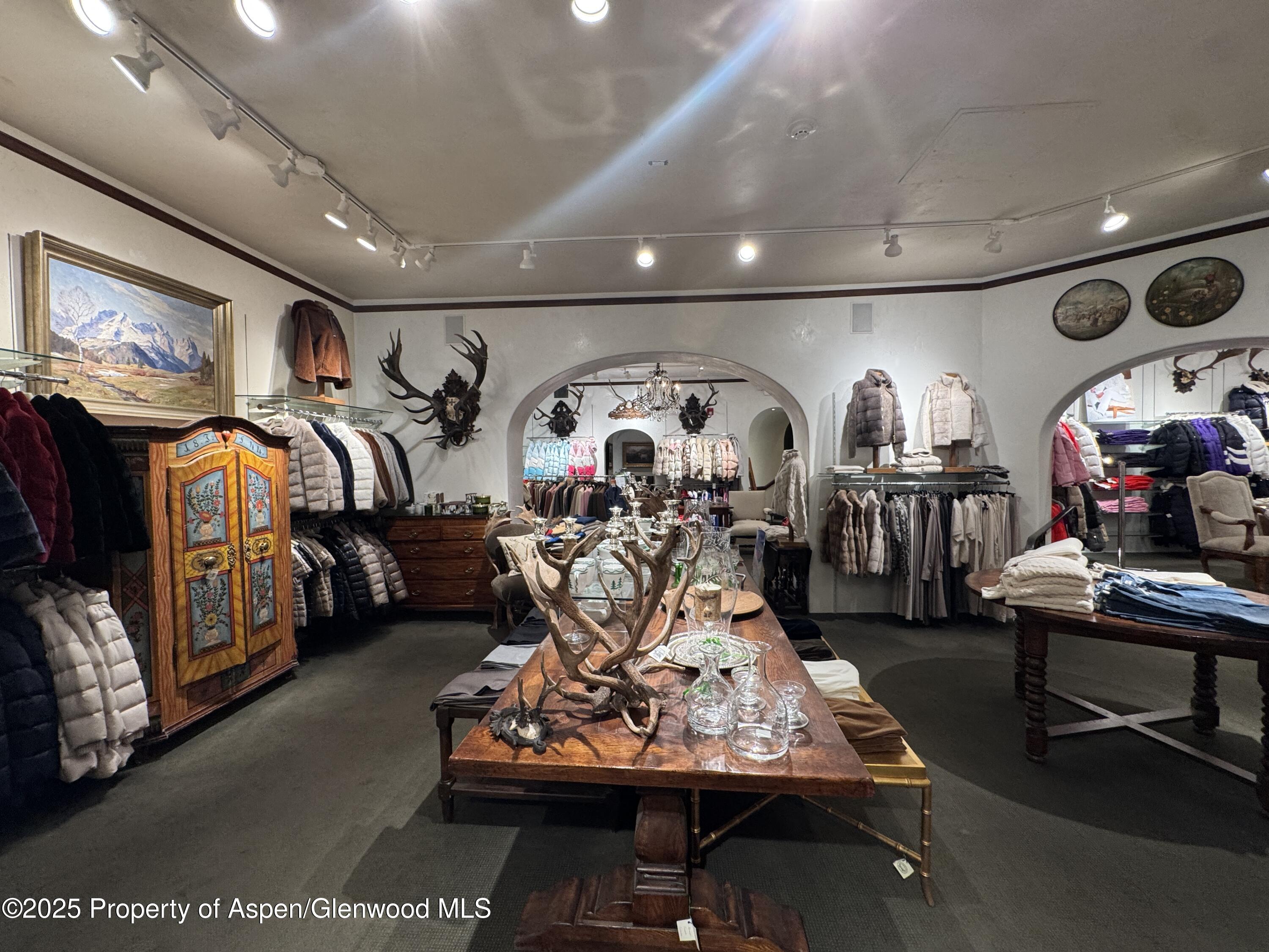 419 E Cooper Avenue Aspen CO 81611