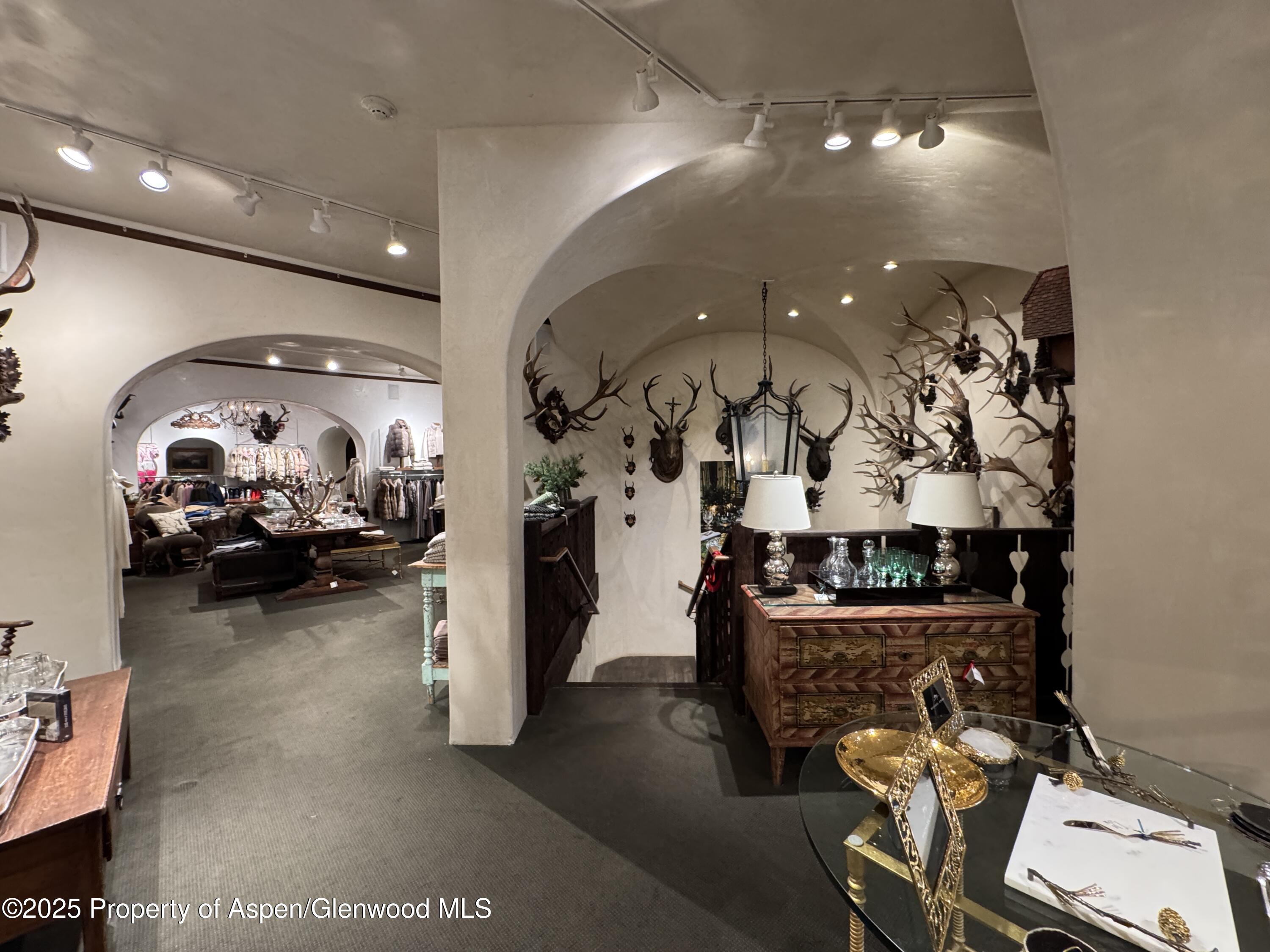 419 E Cooper Avenue Aspen CO 81611