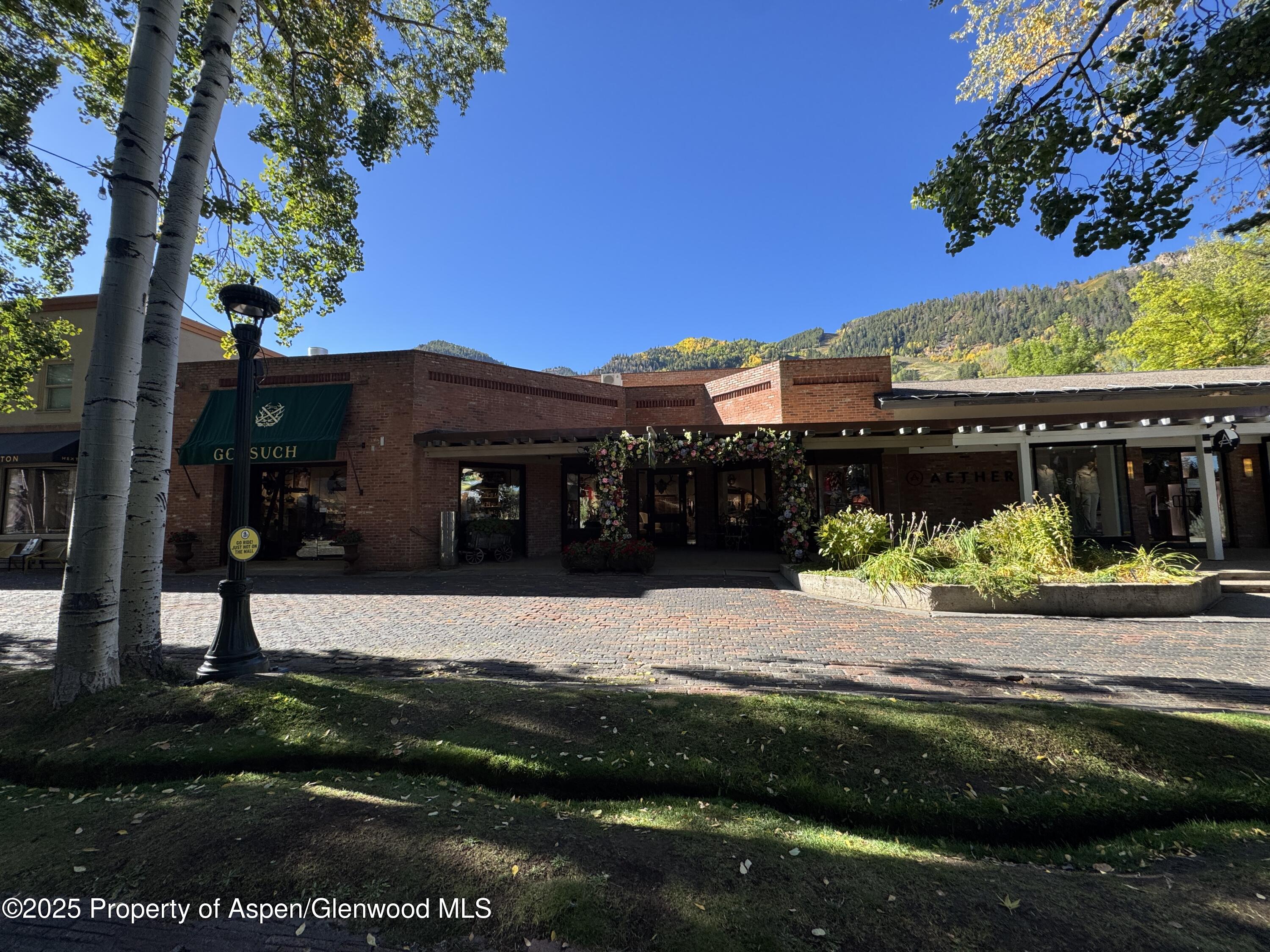 419 E Cooper Avenue Aspen CO 81611