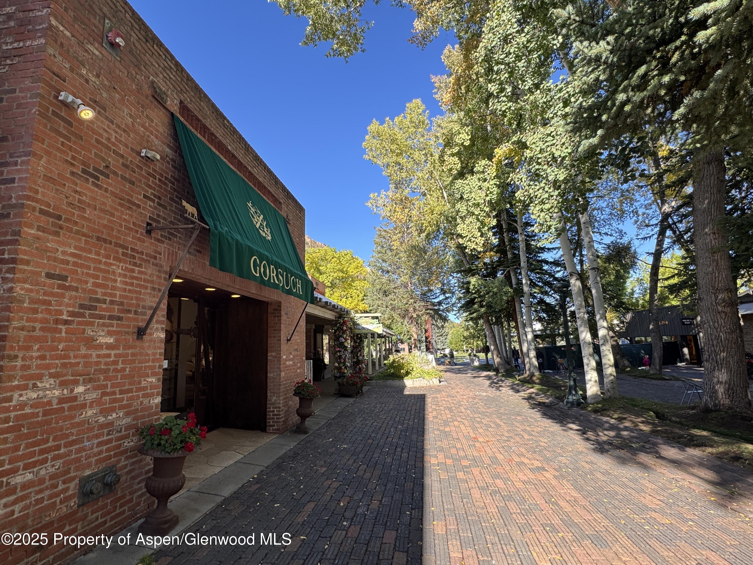419 E Cooper Avenue Aspen CO 81611