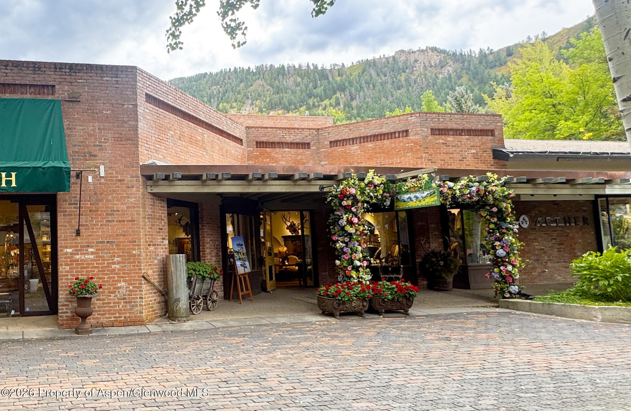 419 E Cooper Avenue Aspen CO 81611