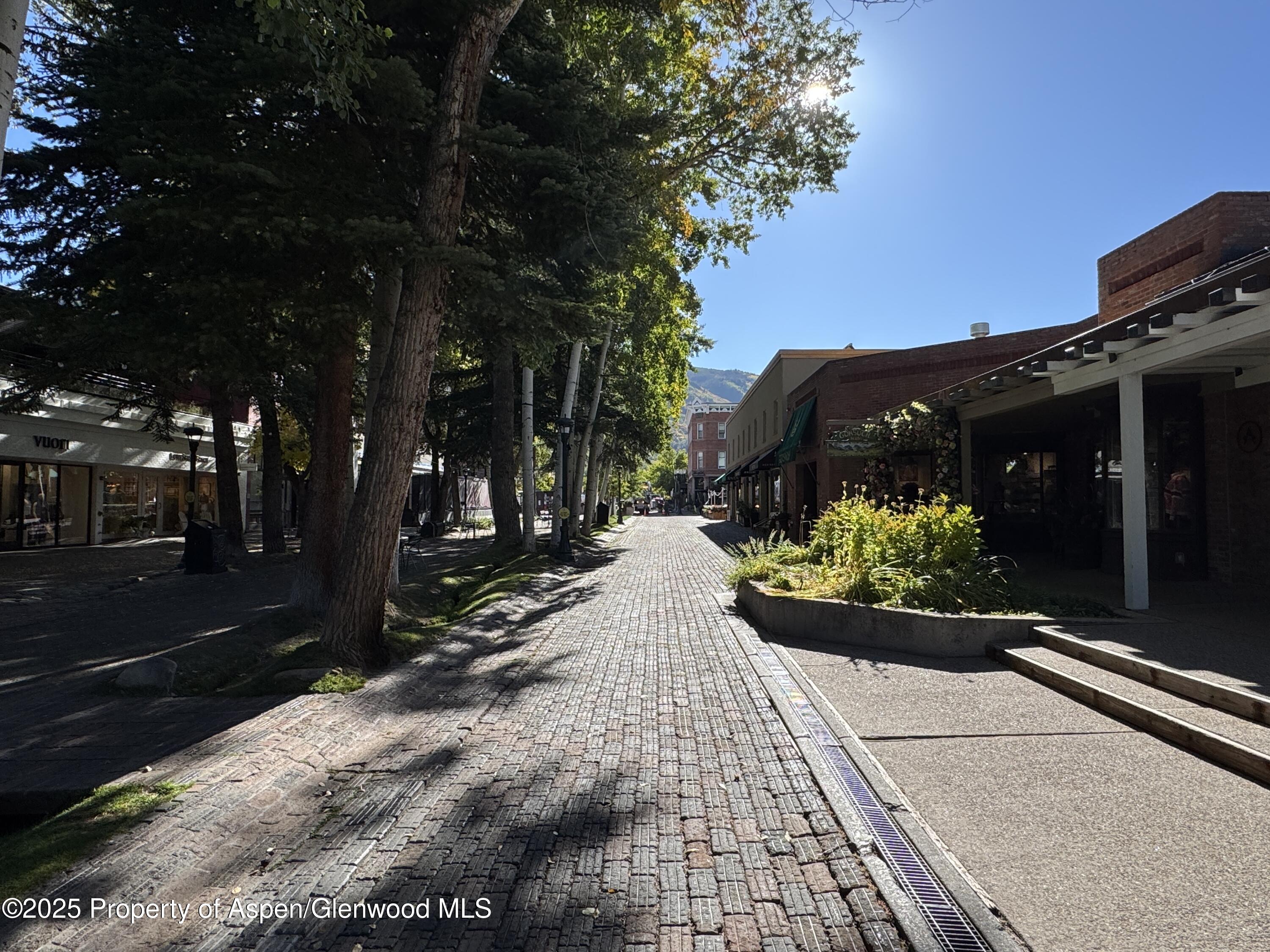 419 E Cooper Avenue Aspen CO 81611