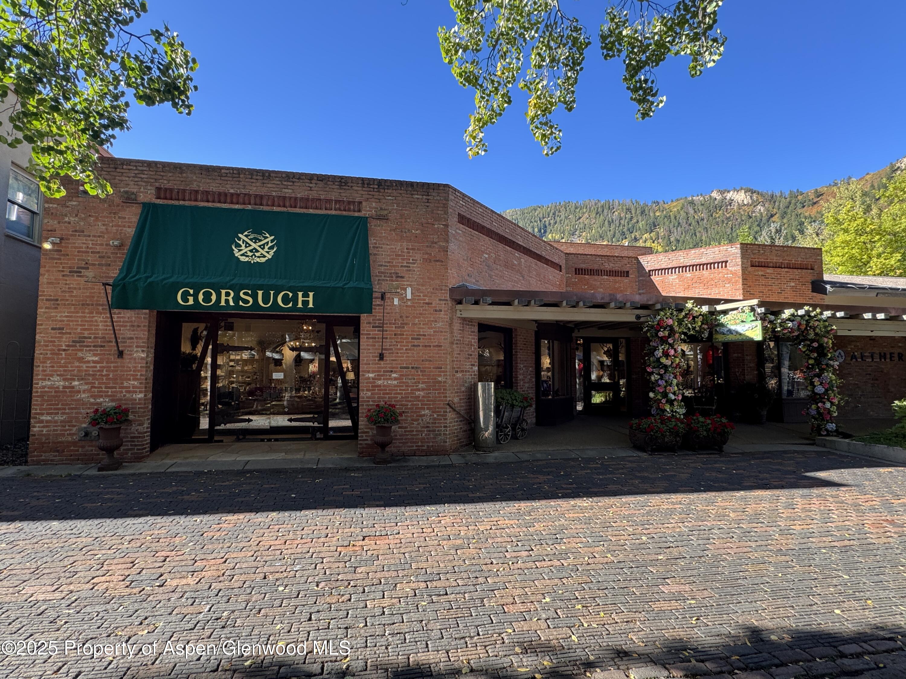 419 E Cooper Avenue Aspen CO 81611