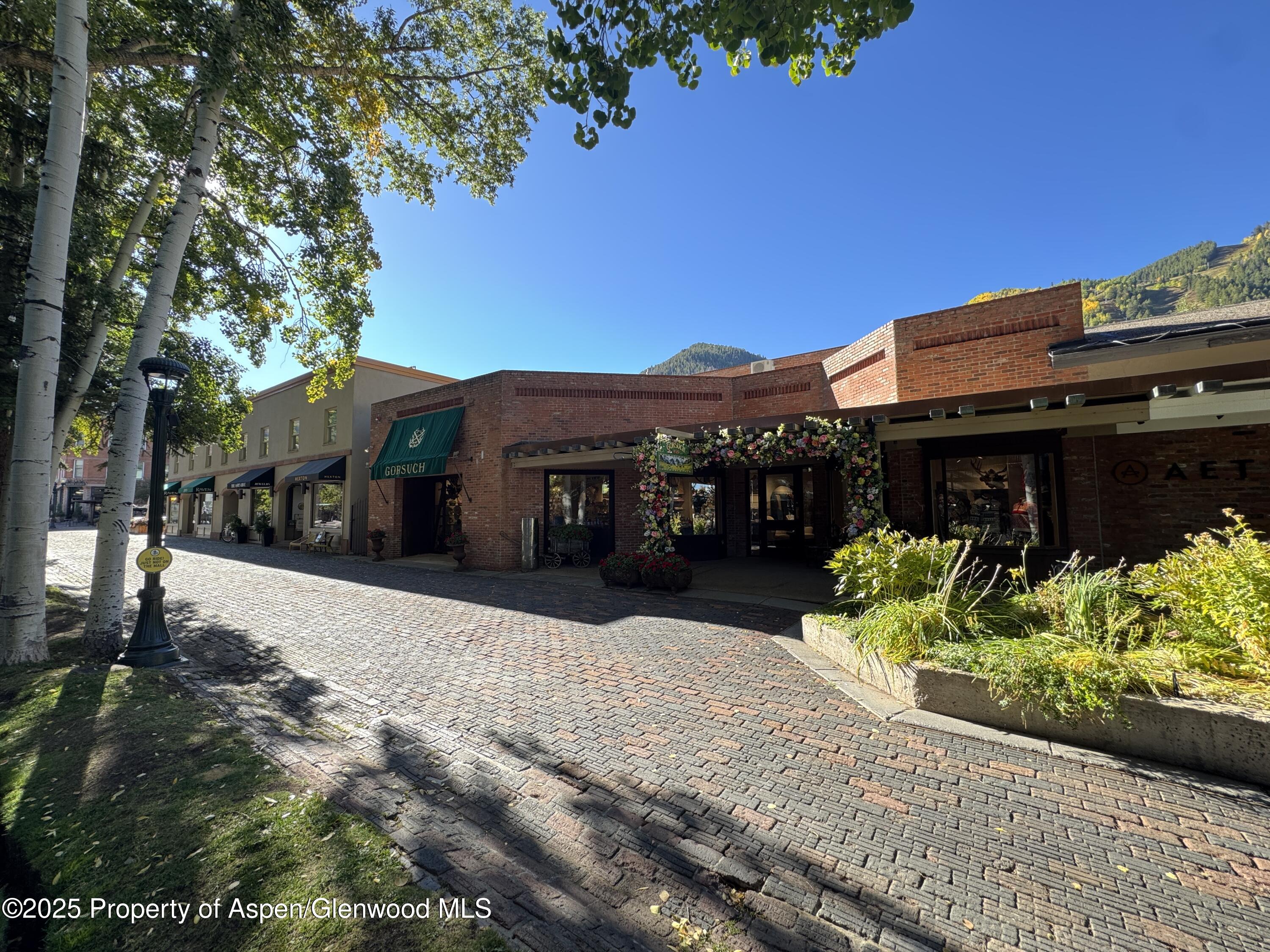 419 E Cooper Avenue Aspen CO 81611