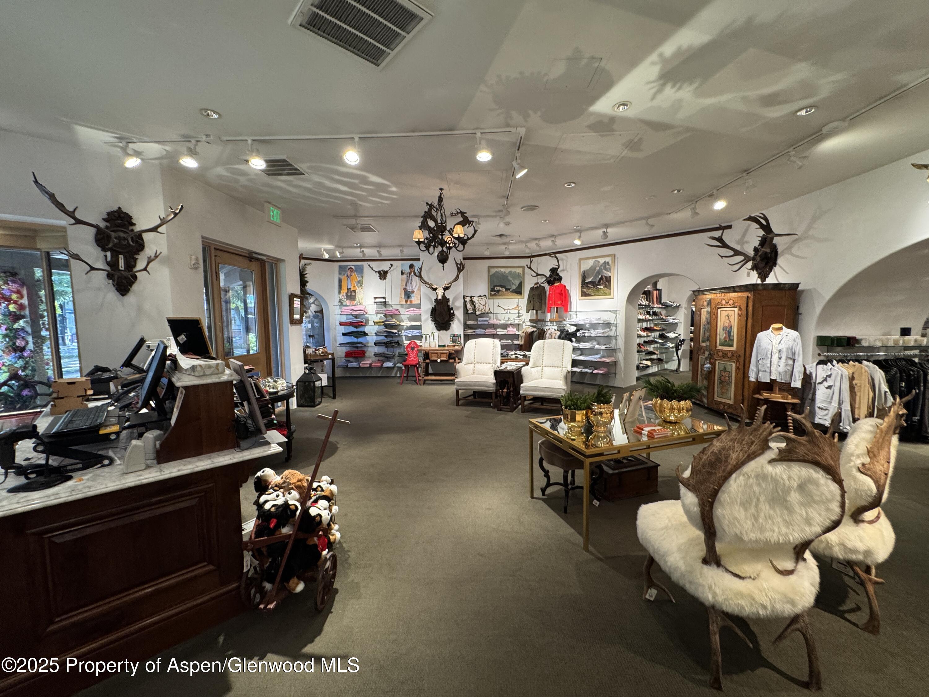 419 E Cooper Avenue Aspen CO 81611