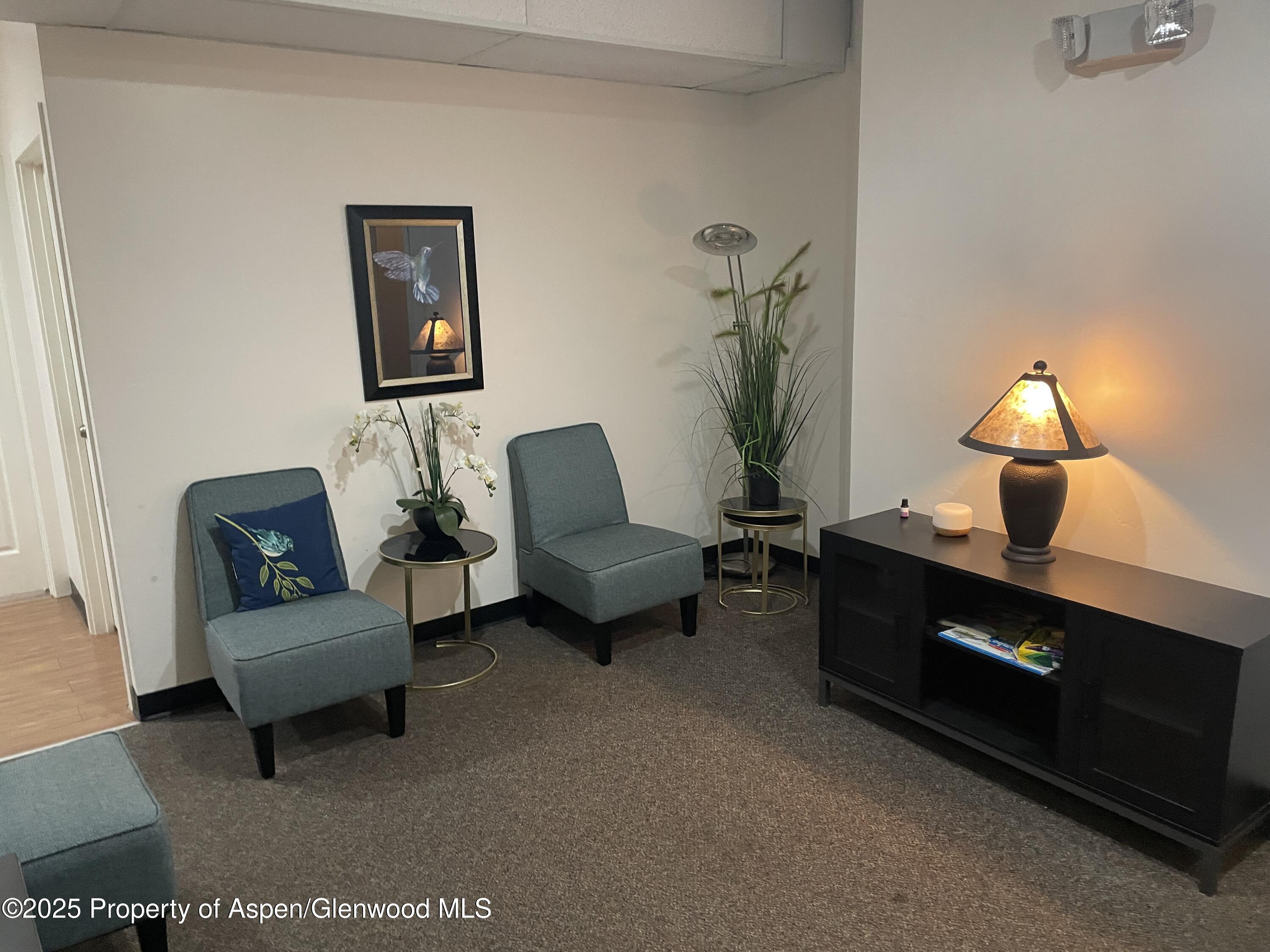 995 Cowen Carbondale CO 81623