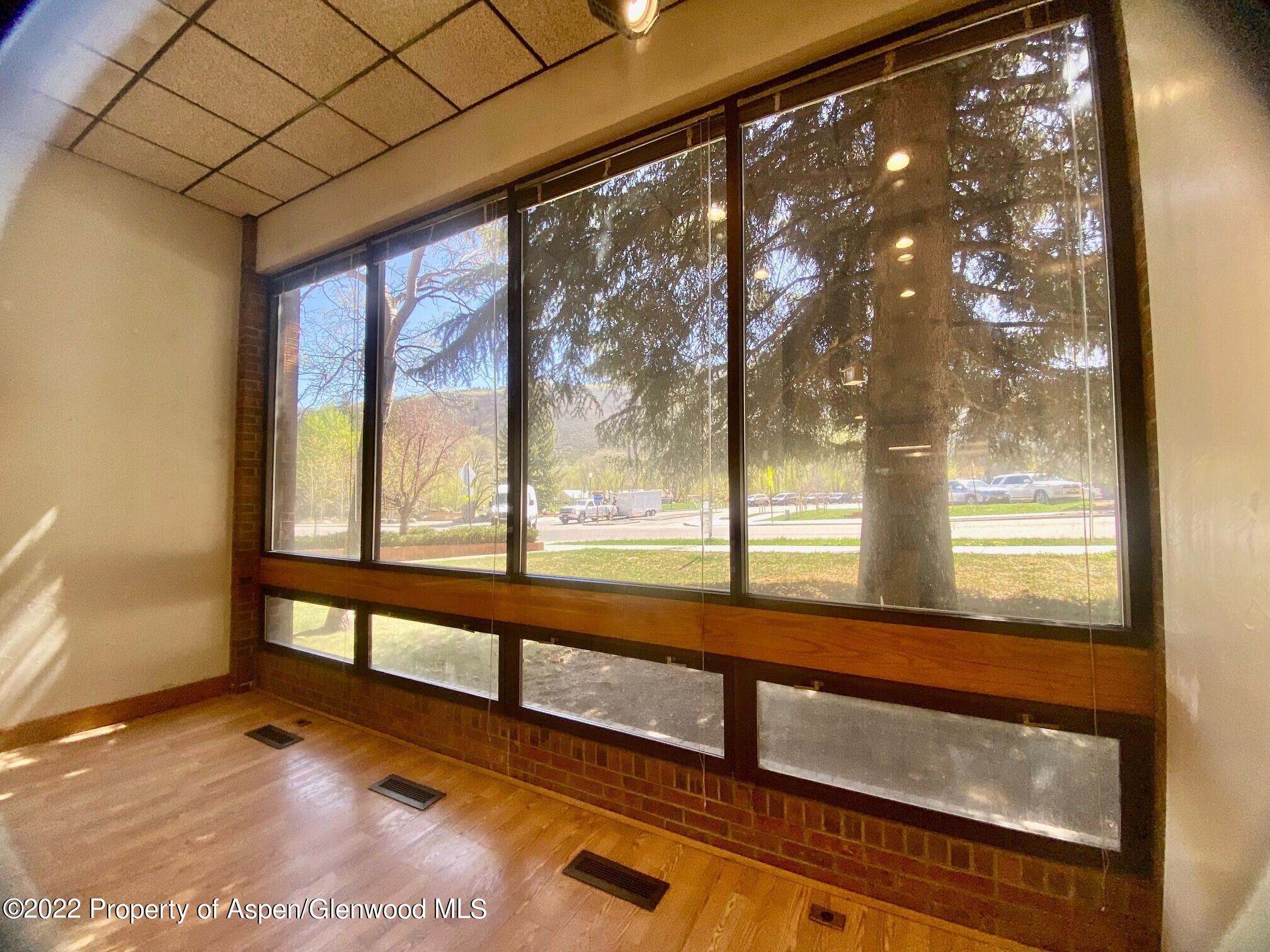 225 N Mill Street Aspen CO 81611