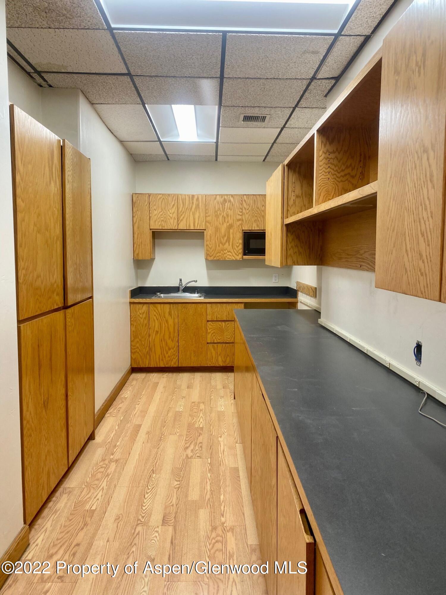 225 N Mill Street Aspen CO 81611