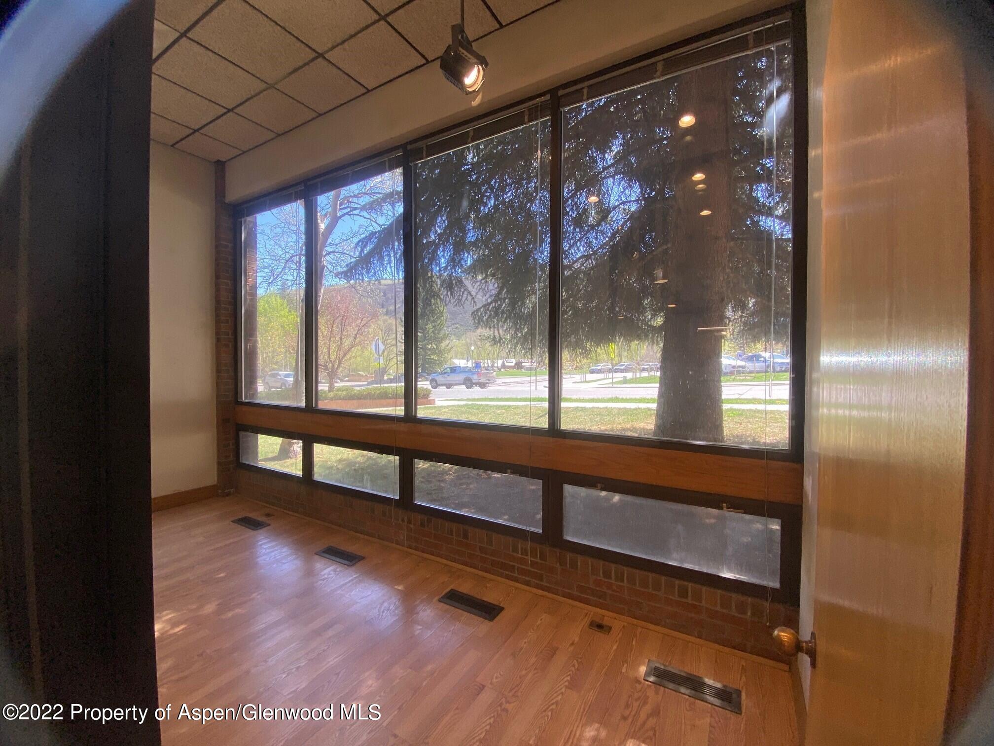 225 N Mill Street Aspen CO 81611