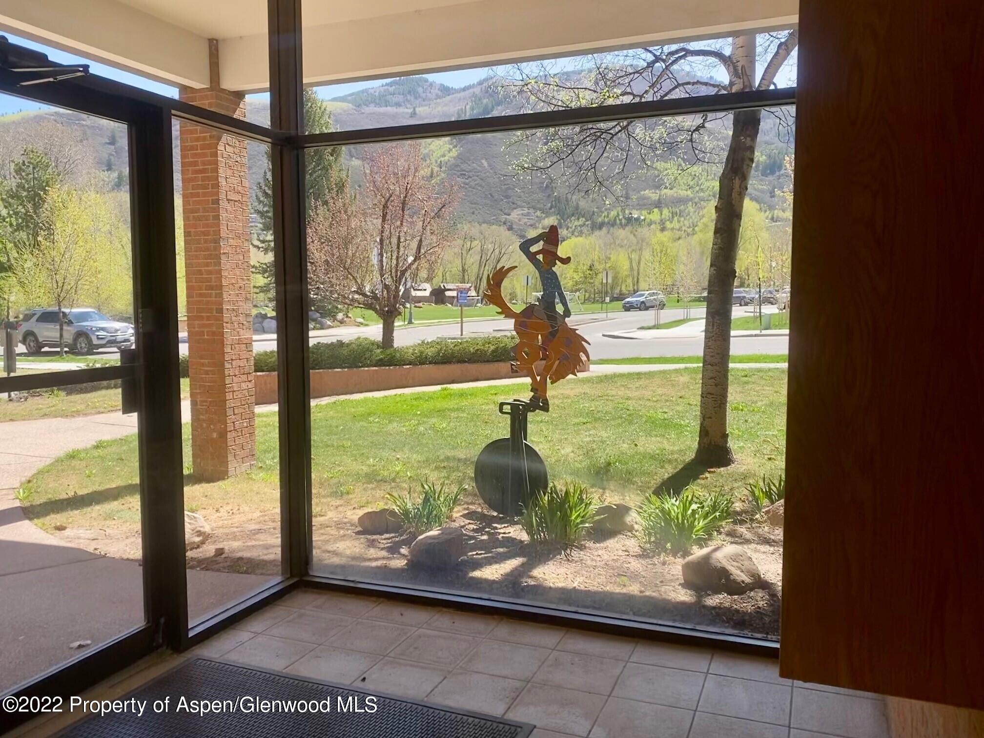 225 N Mill Street Aspen CO 81611