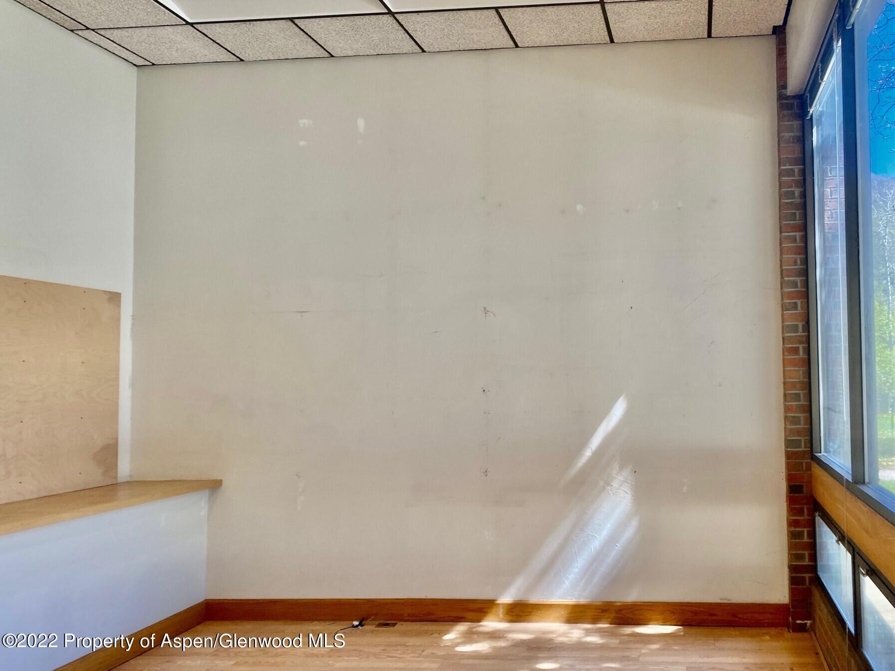 225 N Mill Street Aspen CO 81611