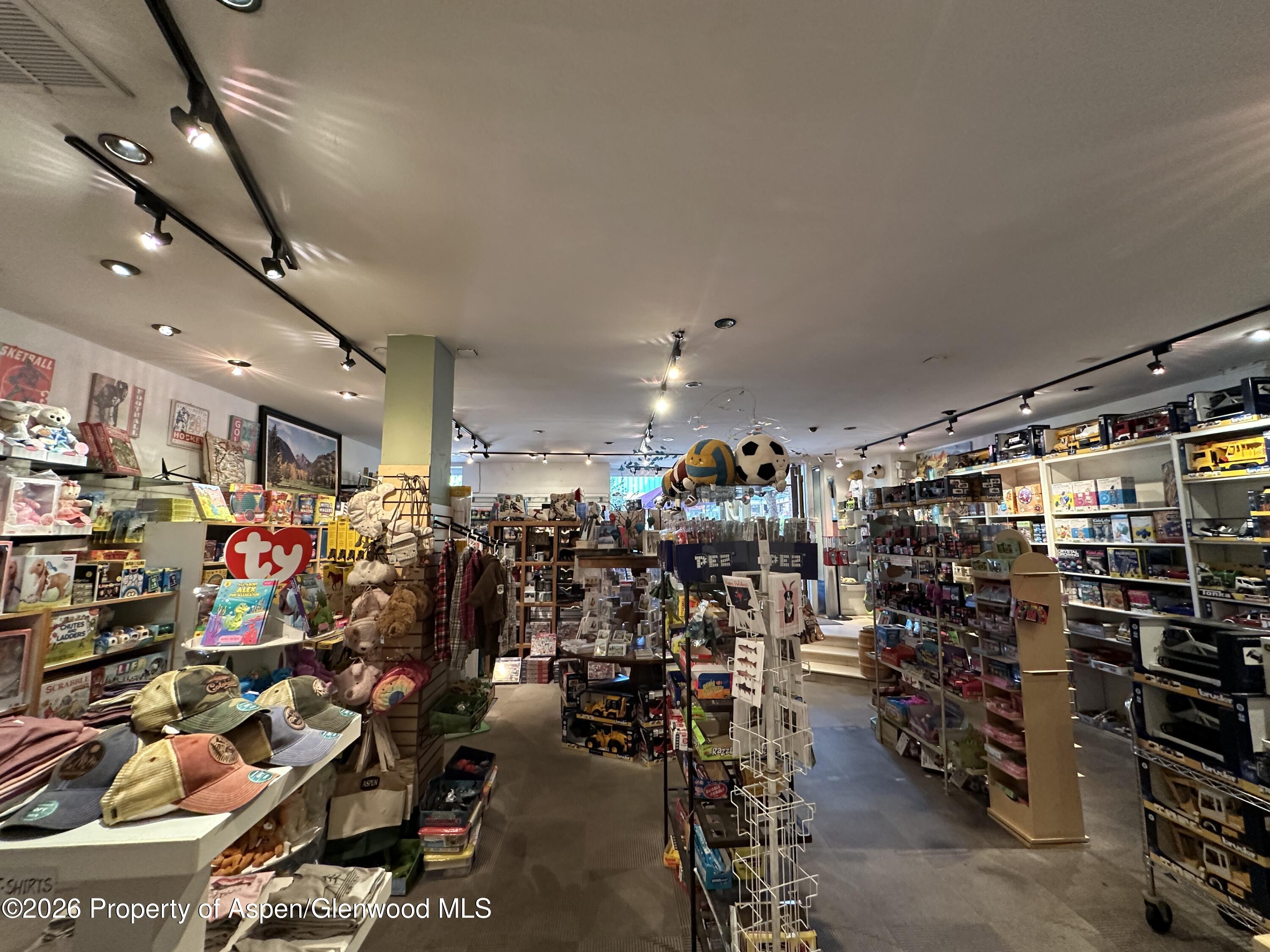 635 E Cooper Avenue Aspen CO 81611